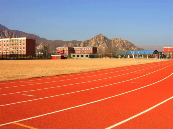 宜宾市塑胶跑道学校塑胶跑道 - 推荐
